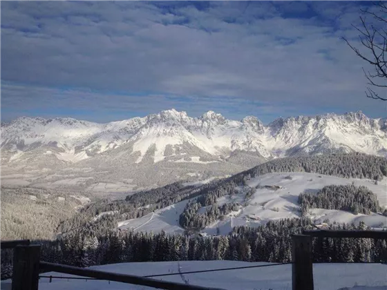 Ausblick Alm auf den Wilden Kaiser