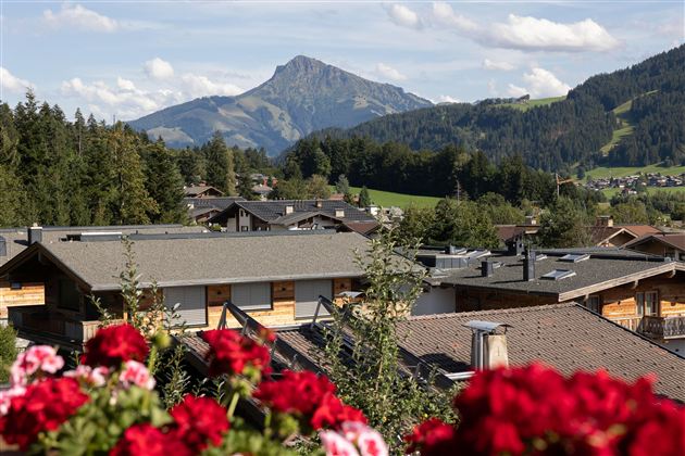Eine malerische Berglandschaft mit einfachen Häusern und üppigem Grün. Im Vordergrund blühen rote Blumen. Ausblick auf das Kitzbühler Horn vom Balkon aus.