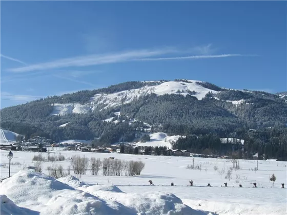 Ausblick auf den Hartkaiser