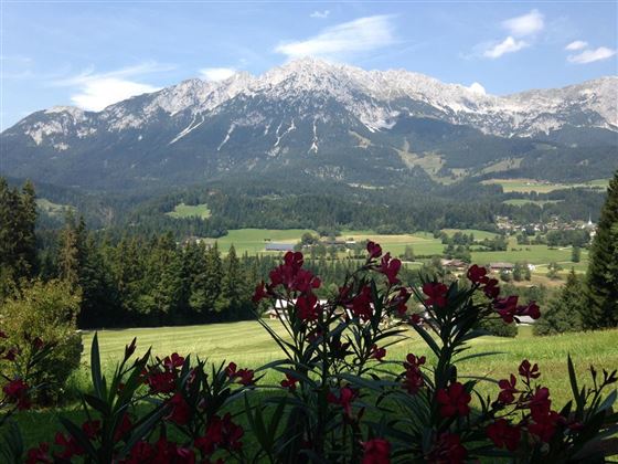 Ausblick auf den Wilden Kaiser