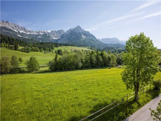 Ausblick Haus Horngacher