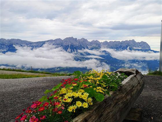 Ein blühender Pflanzkasten mit bunten Blumen steht im Vordergrund. Im Hintergrund sind majestätische Berge und Wolken zu sehen.