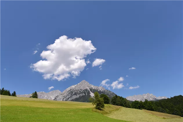 Ausblick Sommer 1