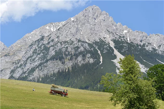 Ausblick Sommer 2