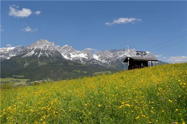 Ausblick Sommer 2