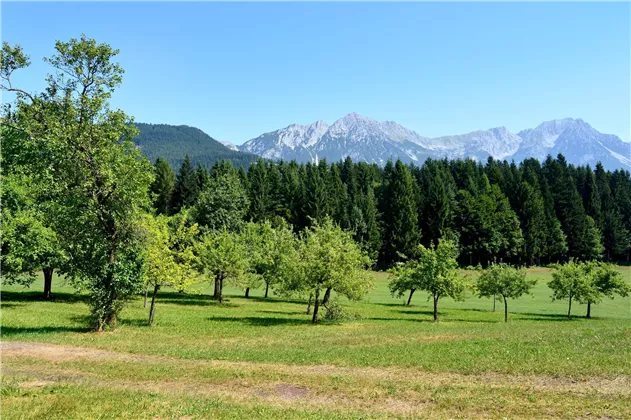 Ausblick Sommer