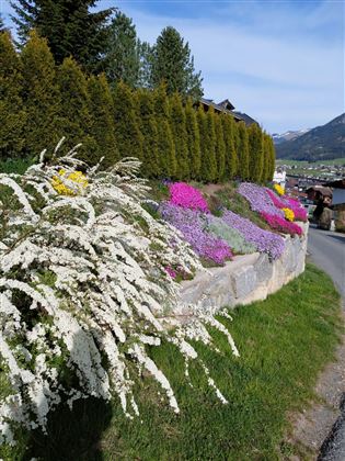 Ausblick über das Dorf