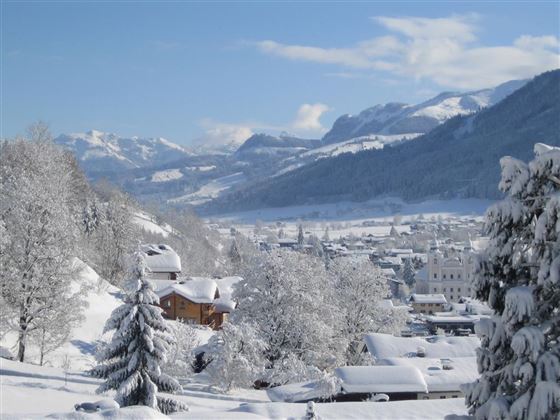 Ausblick vom Appartement Sonnberg Living