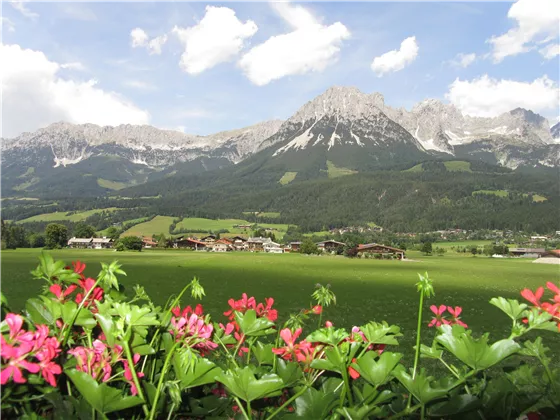 Ausblick vom Balkon