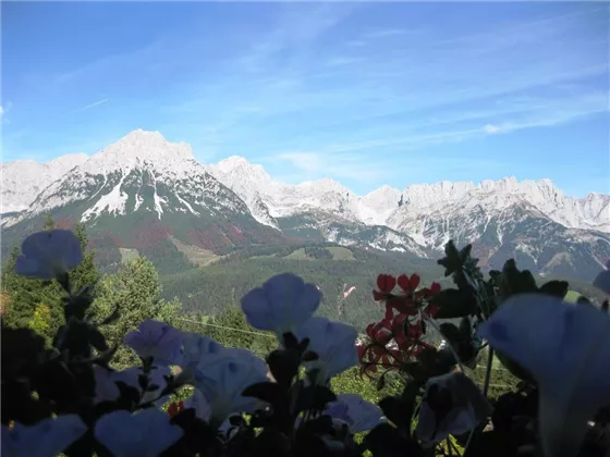 Ausblick vom Ferienhaus Kopp