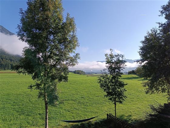 Ausblick von der Küche, Villa Greyhorn