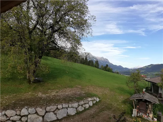 Ausblick Wilder Kaiser