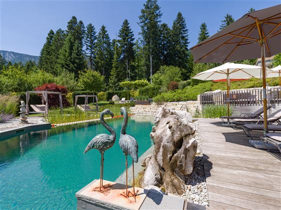Außenbereich des Hotel Alpenpanorama mit Naturpool, Holzdeck, Felsenlandschaft und Sonnenliegen inmitten grüner Umgebung.