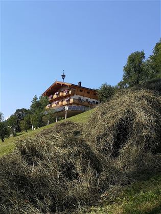 Außenansicht vom Feld