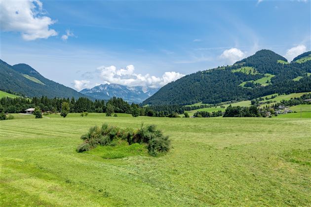 Aussicht 1 (c) Hannes Dabernig