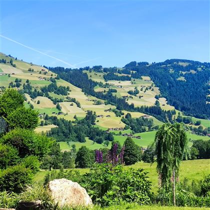 Aussicht-2