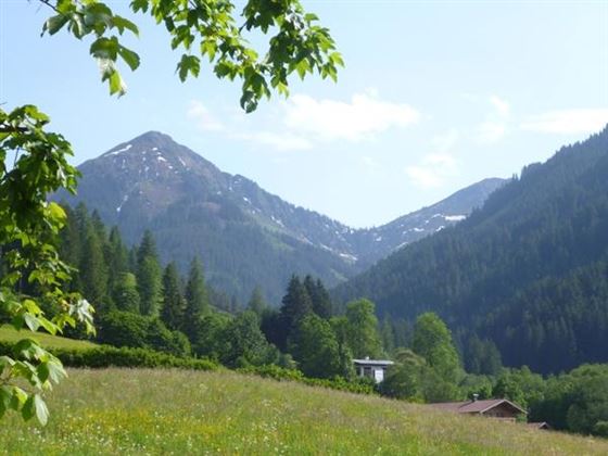 Aussicht 2