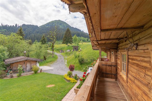 Aussicht auf Garten