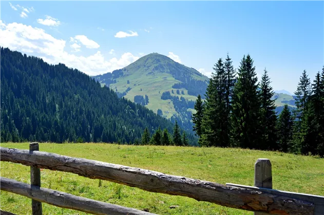 Aussicht auf Hohe Salve