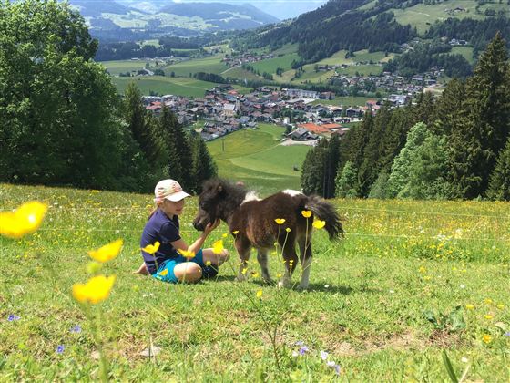 Aussicht auf Westendorf