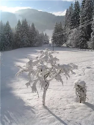 Aussicht aus dem Wohnzimmer