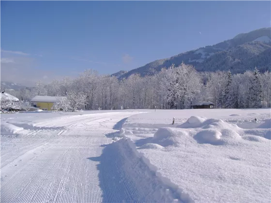 Aussicht Brandstadl WI neu