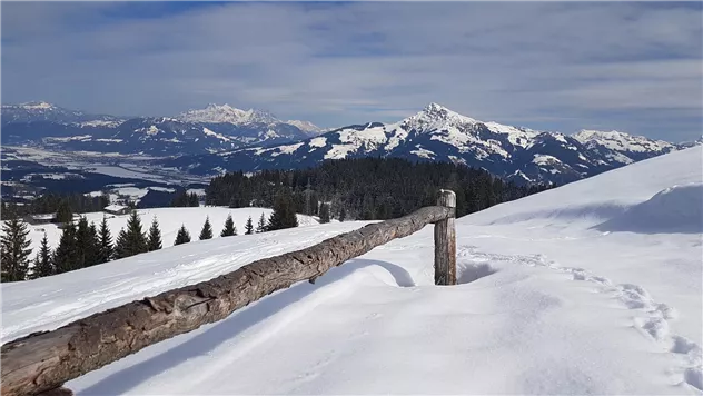 Aussicht der eigenen Alm aufs "Kitzbühler Horn"