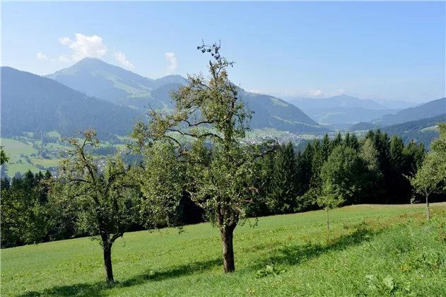 Aussicht Hohe Salve