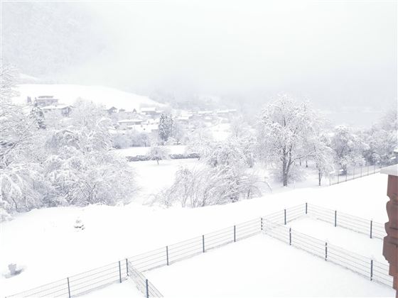 Aussicht im Winter