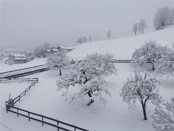 Aussicht im Winter