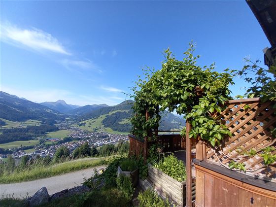 view Kirchberg in Tirol