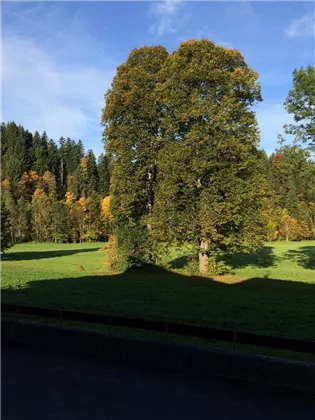 Aussicht Schlafzimmer