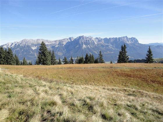 Aussicht vom Brandstadl