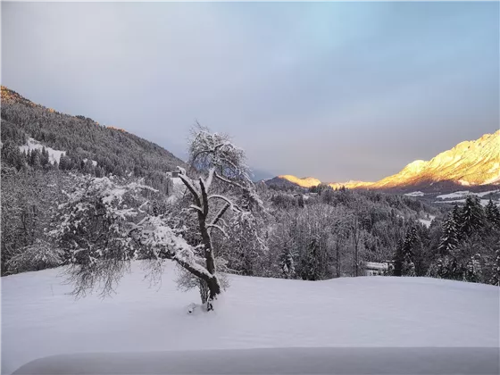 Aussicht vom Schlafzimmer