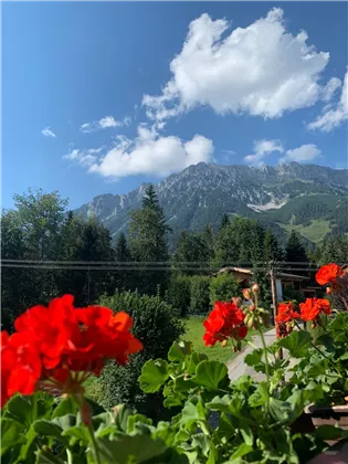 Aussicht von Balkon