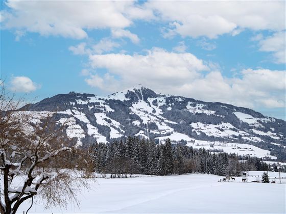 Eine verschneite Landschaft mit einem Berg im Hintergrund. Der Himmel ist blau und hat einige Wolken.