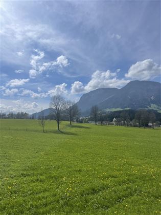Aussicht Wohn- & Essbereich