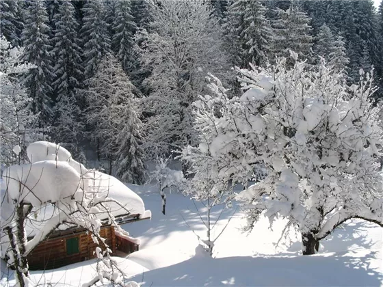 Aussicht zum Gartenhaus aus den Schlafzimmern