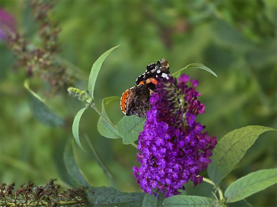 b6ca5a73-9398-4c90-ae4b-53ed8e469d55-1_all_10295