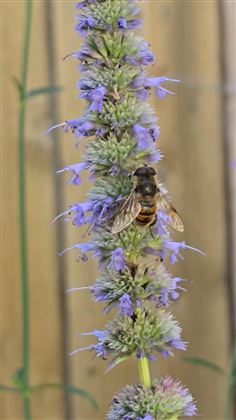 b6ca5a73-9398-4c90-ae4b-53ed8e469d55-1_all_10305