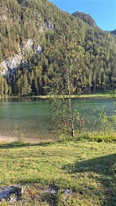 b6ca5a73-9398-4c90-ae4b-53ed8e469d55-1_all_10383