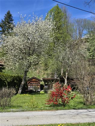 b6ca5a73-9398-4c90-ae4b-53ed8e469d55-1_all_21452