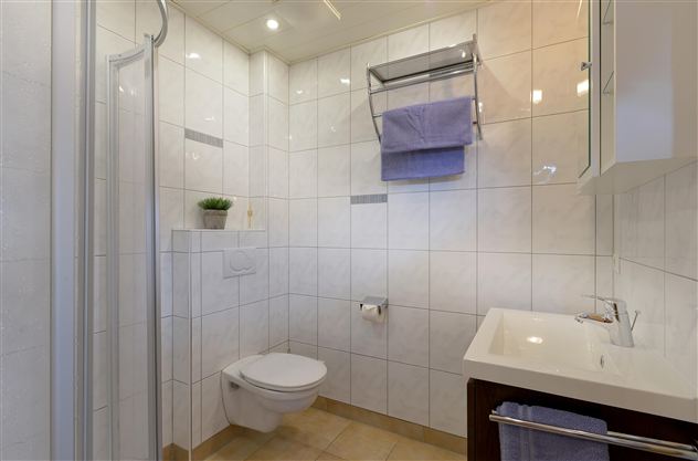 Badezimmer mit Dusche und WC.