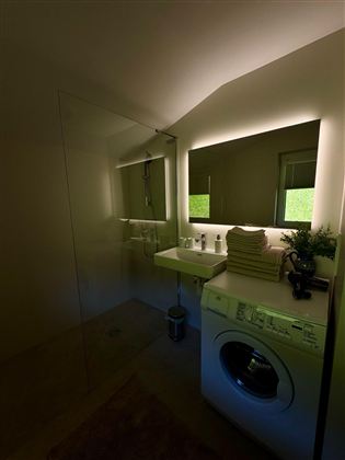 A modern bathroom with a large mirror surface and a washing machine. The ambiance is bright and friendly, with a couple of green plants.
