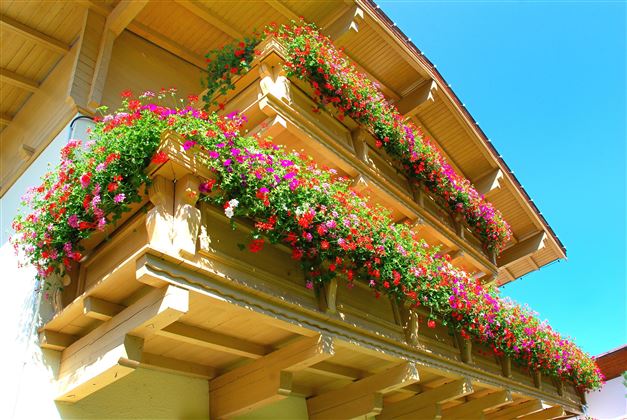 balcon-geranium-tyrol-hotel