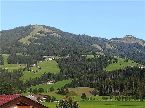 Balkonaussicht