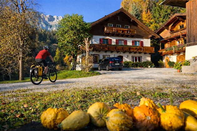 A cyclist rides along a gravel path past a traditional house and colorful pumpkins. The landscape is surrounded by trees and mountains, showcasing an autumn atmosphere.