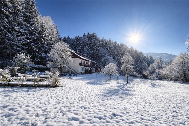 A snowy landscape with a charming house and snow-covered trees. The sun shines over the winter idyll.