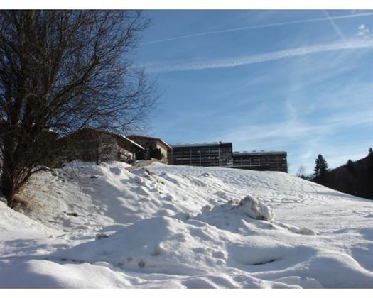 A snowy landscape with a tree and buildings in the background. The sky is clear and blue.