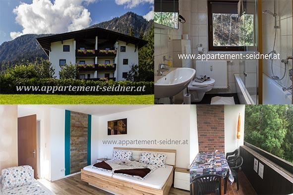 A cozy holiday apartment in the mountains with modern amenities. The pictures show the exterior design, the bathroom, and the sleeping area of the accommodation.